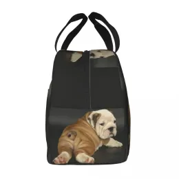 Bulldog Bulldog in inglese Bulldog Borsa portatile isolato Terma fresco termico pranzo per cani britannico pranzo per donne bento box per il cibo per bambini