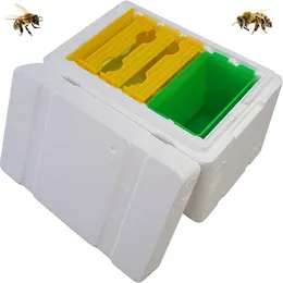 54 unidades Novo modelo Mini NUCS Wholesale Complete Mini -acasalamento da colméia com molduras de plástico Caixa de polinização com alimentador removível