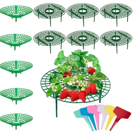 5pcs ~ 1pcs Erdbeerstand Rahmenhalter Balkon Pflanzständer Fruchtunterstützung Pflanze Blume Klettern Rebe Säule Gartenarbeit