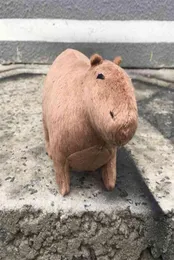 65039039 Reallilfe Capybara Peluş Oyuncak Sevimli Kahverengi Capybara Peluş Bebek Kabarık Dolgulu Hayvanlar Erkek Doğum Günü Hediye Çocuk De7437913