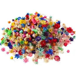 Natural Dried Flower Epoxy Resin Fillings DIY Silicone Mold Filler Nail Art Decorations for Home Decor Jewelry Making Tools