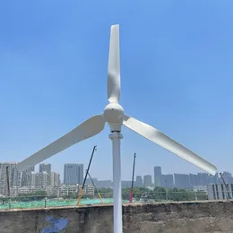5000W Wind Turbine Generator Complete Set 24v 48V 12V Free Energy Generators Windmill With MPPT Controller Off Grid Inverter