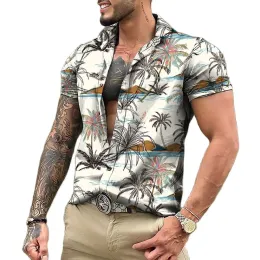 2023 Hawaiian tropiska skjortor för män 3d strand semester kort ärm sommar överdimensionerade toppar tee skjorta man blommig blus 5xl camisa