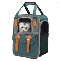 Transportadores de gatos Backpack Expandable Pet Backpack ventilado para design de viagens para caminhada de bolsas dobráveis