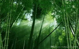 Multura da carta da parati 3D in bambù di qualsiasi dimensione personalizzata Murale01234567898105299