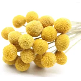 Flores decorativas Preservar a preservação natural de botão amarelo Bolas de buquê seco de buquê para decoração de casamento em casa Flores Flores Arranjo