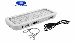Newly 600W Full spectrum LED Grow light 600W Double Chips LED Grow Lights Indoor Plants lamp for flowering and growing1386405