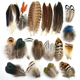 Natural Chicken Peacock Pheasant Feather Small Fly Tying Materials Feathers for Crafts Handicraft Accessories Jewelry Decoration