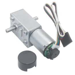 Micro DC Electric Double Shaft Worm Geared Motor 6V 12V 24V With Dual Shaft Encoder Low Speed 6-150RPM In DC Motor Self Locking