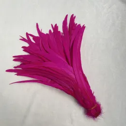 Wholesale 40-45cm Rooster Tail Feather Black Red Blue DIY feather clothing wedding Party supplies performance necessary fashion