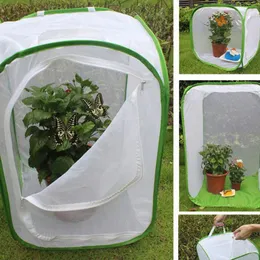 Отличная коробка для размножения Easy Storage Portable Butterfly Net Plating Plats Plating Garden House Kit для бабочек среды обитания сети