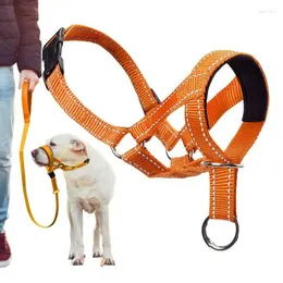 Hundkläder Mun Muzzles Justerbar anti-markering Anti-Bite Harness Head Collar Munstels Halter Training Tool Summer PET LEASSHES