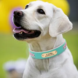 Personalizado lederen halsband geersonaliseerde id id kraag gewatteerde graveren cristal kragen verstelbare voor kleine middelgrote grote honden