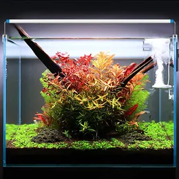 Aquarium Aquatic Plant Grow Fish Fish Basta