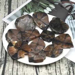 Natural Crystals And Stone Chiastolite Tumbled Mineral Specimen Irregular Shape Rock Reiki Bulk Home Aquarium Decoration