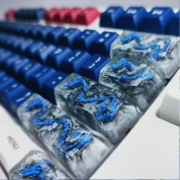 Zubehör 1pcs Harz eingeben Schlüssel Personalisiertes Design Dragon Keycaps Geschenk für Cherry MX Mechanische Backbeleuchtung Tastaturschlüsselkappe