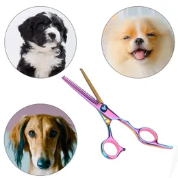 Benepaw Professional Dog Grooming Scissors 키트 매뉴얼 애완 동물 헤어 클리퍼 커터 얇게 전단 곡선 가위 손질 빗