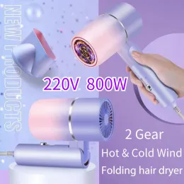 Secadores 220V 800W Secador dobrável secador de cabelo elétrico Cuidado de cuidados com o vento quente Secador de cabelo de cabelo de cabelo casa de cabelo elétrico soprador de cabelo elétrico