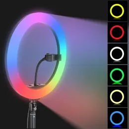 Lichter 26 cm 10 Zoll RGB Ring Light 15 Farben mit Mini Stativständer Telefonhalter für Tik Tok Make -up YouTube Video Fotografie Lampe