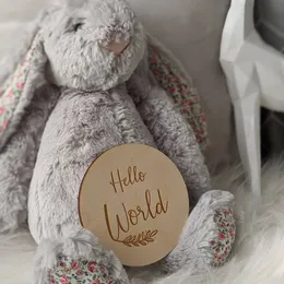 Hello World Baby-Ankündigung-verstärkte Holzschwangerschaftsanzeige Plaque-Baby-Meilensteinkarte, Eltern oder Babypartygeschenk