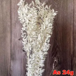 30g/35-45 cm dekorativ getrockneter natürlicher Ruscus Blätter Ast, echte trockene und wertvolle Blumenstrauß für Wohnkultur, Hochzeit