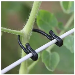 Pflanzenfixierklammern Tomatenstütze Clips Traubenregal Masch Faltener Garten landwirtschaftliche Bündelungslinie Käfige Plastik S1