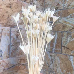 Ramo di fiori naturali secchi 35 fiore di fiori, candele di fiori fai -da -te secco eternelle anice bouquet per decorazioni per la casa, disposizione floreale