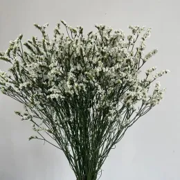 100g/35 ~ 42 cm wirklich natürliche getrocknete Kristallgras erhalten Rosenblume, ewige Vergessen Sie mir Blumenstrauß für die Hochzeitsdekoration