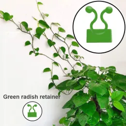 3 Size 2 Colors Invisible Wall Rattan Clamp Clip Plant Climbing Wall Clip Wall Vines Fixture Wall Sticky Hook Holder Dropship