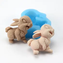 Boowan Nicole Silicone Soap Mold Rabbit Form Harts Mold Handmade Bunny Candle Soap Making Supplies