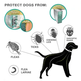 Dewel Pet Dog Collar Anti -Flea ticks mosquitos inseto cães grandes cães grandes colarinho colar de proteção de colarinho de protetor Natural