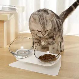 Cat Double Bowl Cat Bowl Hundeschüssel Nicht-Rutschfutterschale mit erhöhtem Ständer Katzenfuttermittelversorgungen Hundefuttertier Haustier Vorräte