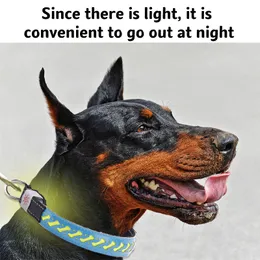 Mysudui LED Luminous Dog Electronic Collar USB Ladung Verstellbares Haustier Lederkragen Nachtreise Anti verlorener Outdoor für alle Hund