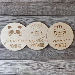 Wood Monthly Divis Discs Cards Baby Props Newborn Photography Photograph