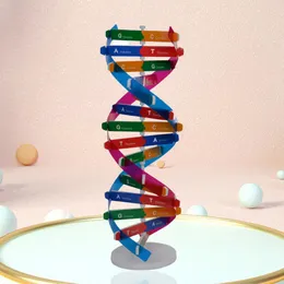 Dubbel spiral DNA -modell 3D/stor struktur undervisar leksak dubbel spiral diy mänskliga gener för biologisk vetenskap barnutbildningsleksak