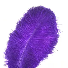 10pcs hard hard hard purple aventrich penas para artesanato 15-75 cm decoração de penas decoração de carnaval para acessórios de casamento decoração