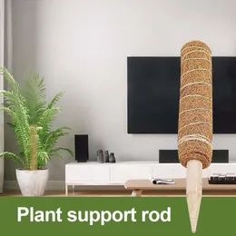 30/40/50cm Plant support Coir Moss Totem Pole Coir Moss Stick For Creepers Plant Support Indoor Garden Plants Coconut Palm Stick