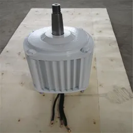 3KW/ 3000W 300 rpm Låg rpm Horisontell vindhydrogenerator/ Permanent Magnet Water Power Dynamotor Hydro Turbin