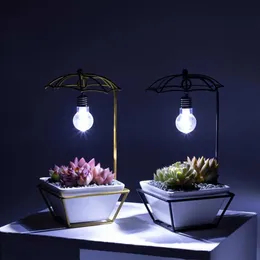 Planta de planta de planta de planta de planta simples simples suporte de exibição de estampa com bulbo tv background wall hanger criativo vaso de flores criativo