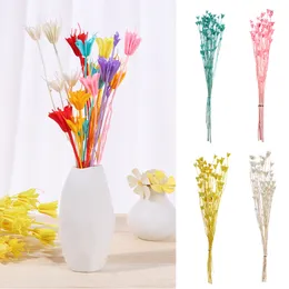 Fiori anice secchi naturali bouquet 8 angoli a stella disposizione floreale decorazione per casa vivido regalo per matrimoni per matrimoni per piante immortali