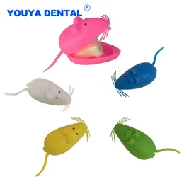 Mini myszy Organizator Pudełko Plastikowe pamiątki STEVEVENIR STAPER ZAKRES KITURY PIERWSZE Zęby Zebranie zębów dziecięcych pamiątka uchwyt dentystyczny