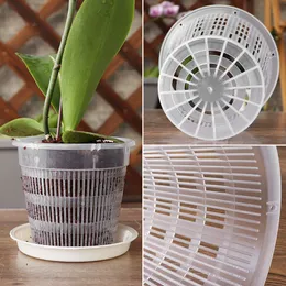 5st Mesh Flower Pot Net Clear Plastic Orchid Planter Flower Hytter Tray Root Breattable Growth Container Slots Wall Hanging Cup