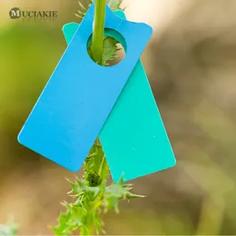 Muciakie 100pcs 2x5 cm marcatori di piante che sospendono etichette di appendiali piantine di verdure tag da giardino