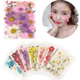 3D -pressade blandade riktiga torkade blommor DIY Floral Decors för UV Gel Nail Art Tips Ansiktsdekor Diy Harts Hantverk Mögelfyllningsmaterial