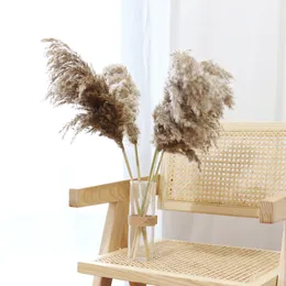 Dried Reed Phragmites Natural Flower 10pcs Pampas Grass Decor Flower Wedding Supplies Party Arrangement Flores Home Decoration