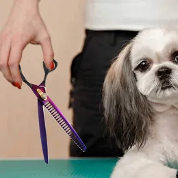 Benepaw Professional Dog Scissors 직선 아래쪽 곡선 애완 동물 절단 얇게 썬 텍스트 살포 chunker 전단 안전 트리밍