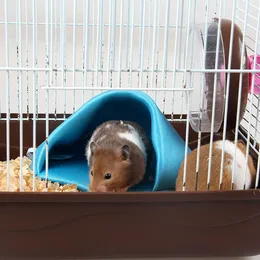 Mjuk bekväm hamster säng varm husdjur säng hamster silkeslen hängande tält bo husdjur leveranser för hamster små husdjur 4 färger kan välja