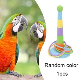 Parrot Training Rings Toy Set Plastic Intelligence Bird Toy Creative Height Adjustable Toss Pet Birds Ferrule Game Supplies