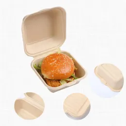 20/30/50pcs jednorazowe ekologiczne bento pudełko pudełko posiłek posiłek posiłek przygotowujący pudełko na lunch owocowe sałatka hamburgerowa opakowanie pudełko opakowanie