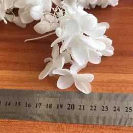 20g/Cirka 3 ~ 4 cm blommakenblad, verkliga naturliga färska bevarade blommor torkat trä hortenslublomhuvud, evigt storblad hortensiaer